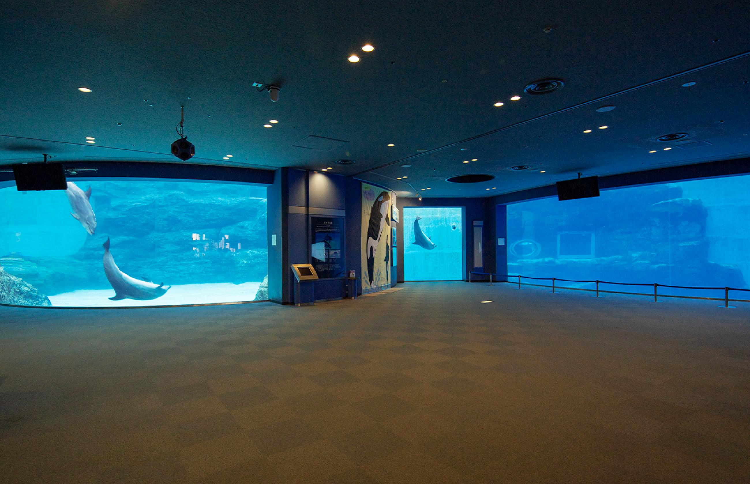 名古屋港水族館